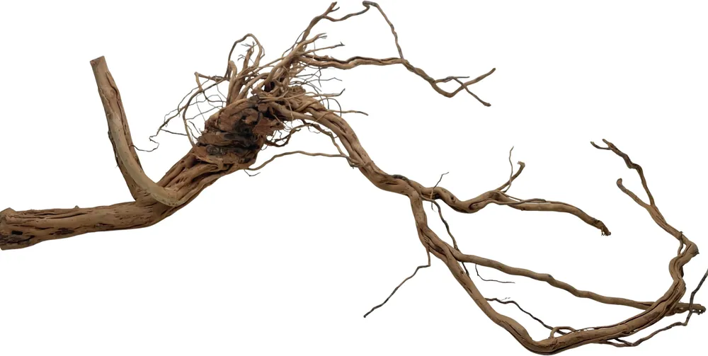 Odeslání Ihned Dragon wood 90-120cm (ID Z05955)