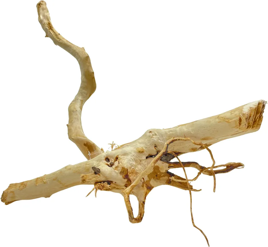 Must-Have Red Moor Wood L 40-50cm (ID Z06221)
