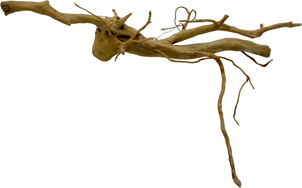Originální Red Moor Wood XXL 60-75cm (ID Z06230)