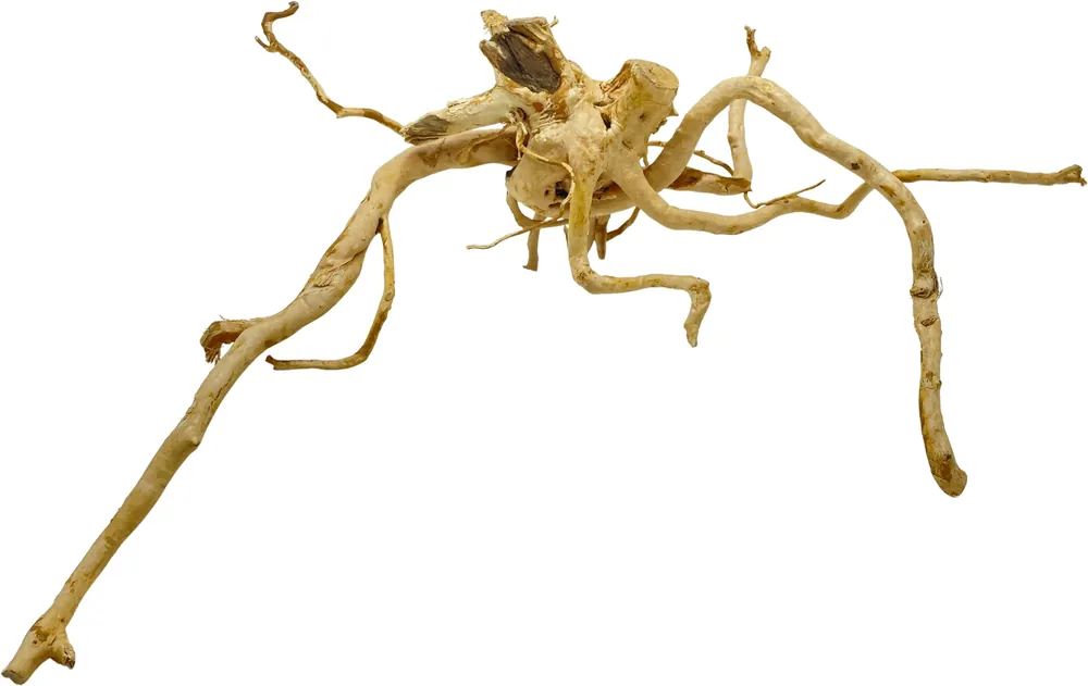 Zlevněný Red Moor Wood XXL 60-75cm (ID Z06231)