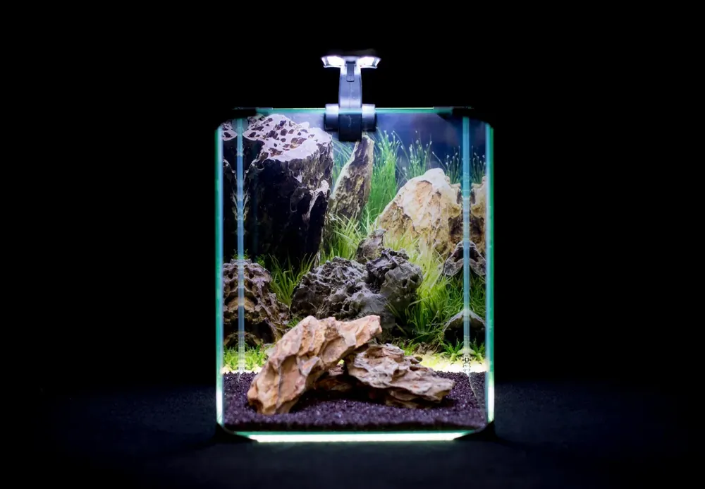 Diversa akvarijní set Neo Light 20 litrů Objednat Nyní
