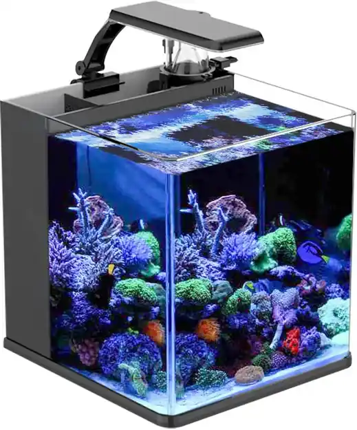 INVITAL Nano LED mořské akvárium 23l s filtrací a odpěňovačem Výprodej