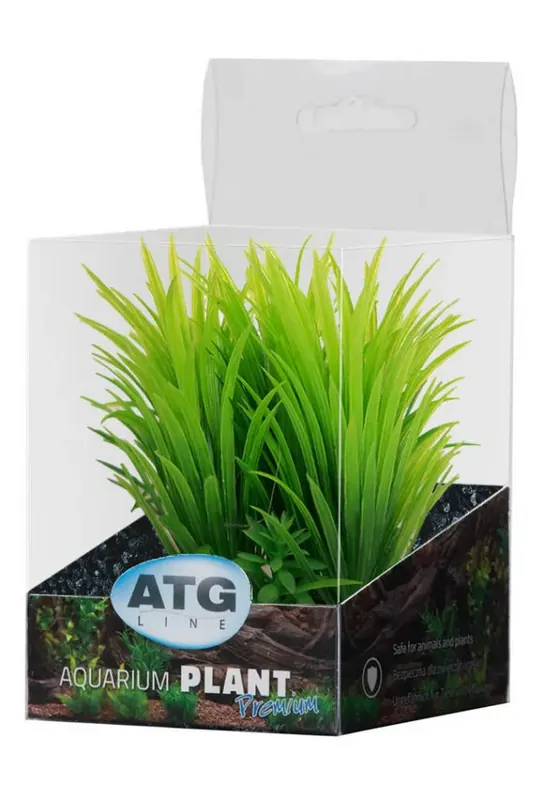 Kup Teď ATG Premium rostlina Mini (8-14cm) 237