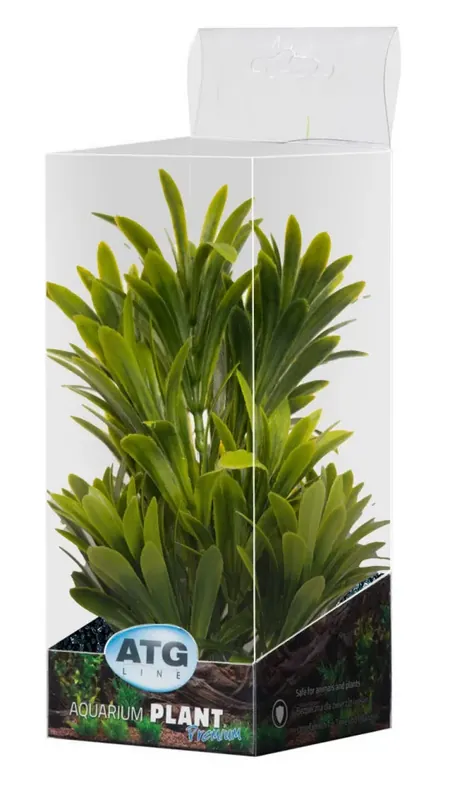 ATG Premium rostlina Malá (18-25cm) 333 Speciální Cena