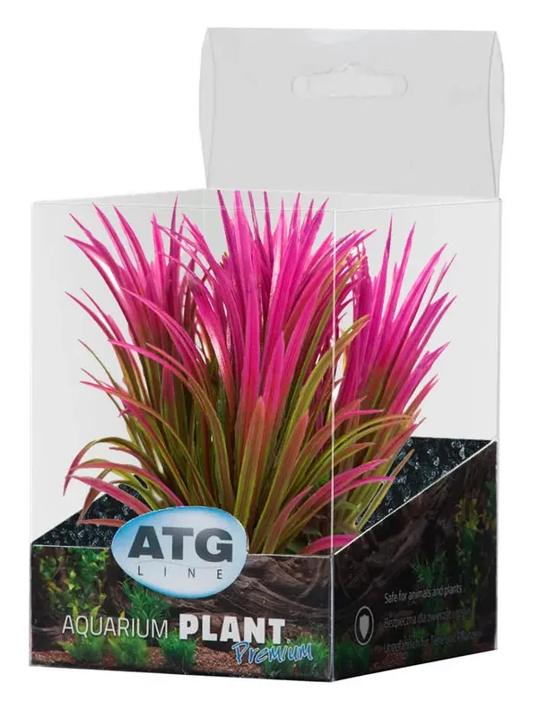 ATG Premium rostlina Mini (8-14cm) 238 Kup Teď