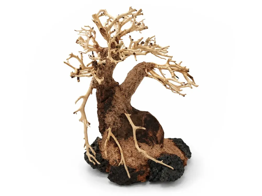 Bonsai Driftwood 20 x 15 x 17 cm No.82 Levný