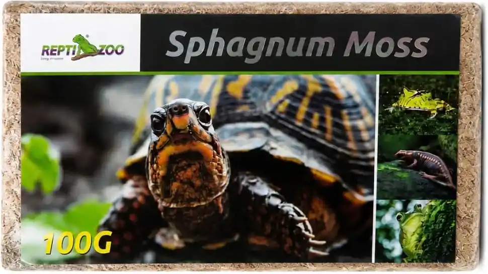 Repti-Zoo Chile‘s Sphagnum moss – rašelinový mech Nízká Cena