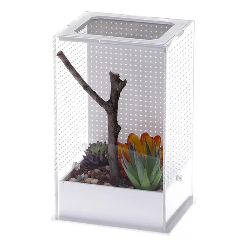 Omezená Nabídka Repti Zoo Mantis Box L – akrylové terárium