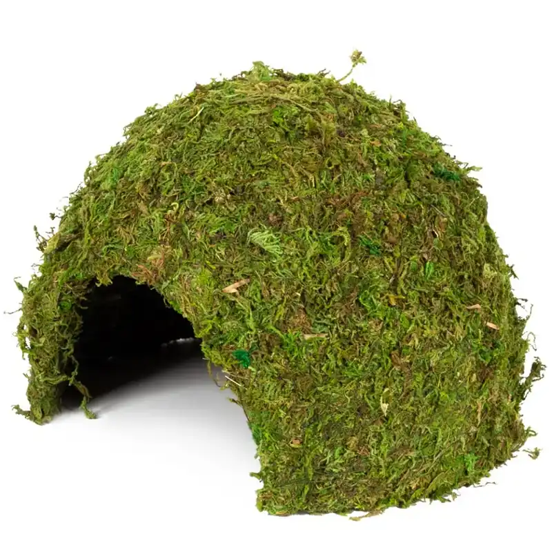 Repti Zoo Natural Mossy Dome L – mechový úkryt Časově Omezené