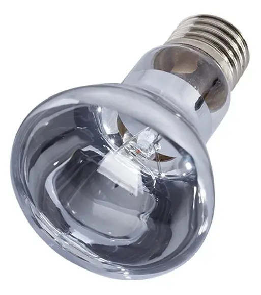 Repti Zoo Žárovka Neodymium Daylight 100W Akční Cena