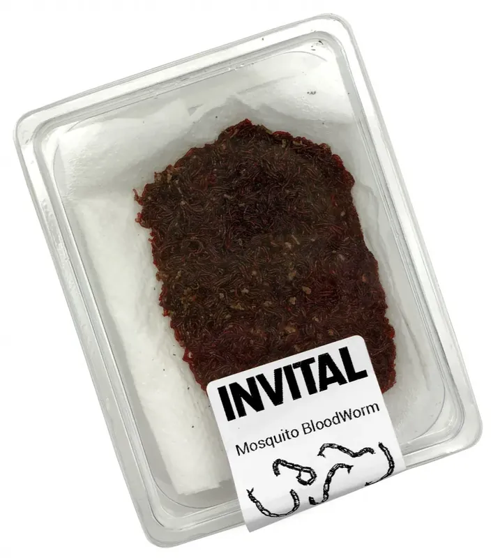 Dokud Zásoby Vydrží Červená komáří larva (Patentka) bez roztoku