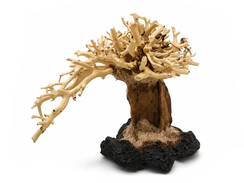 Bonsai Driftwood 15 x 12 x 13 cm No.10 Autentický