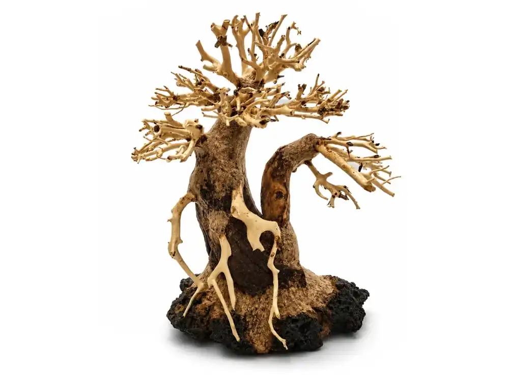 Bonsai Driftwood 25 x 13 x 22 cm No.82 Originální