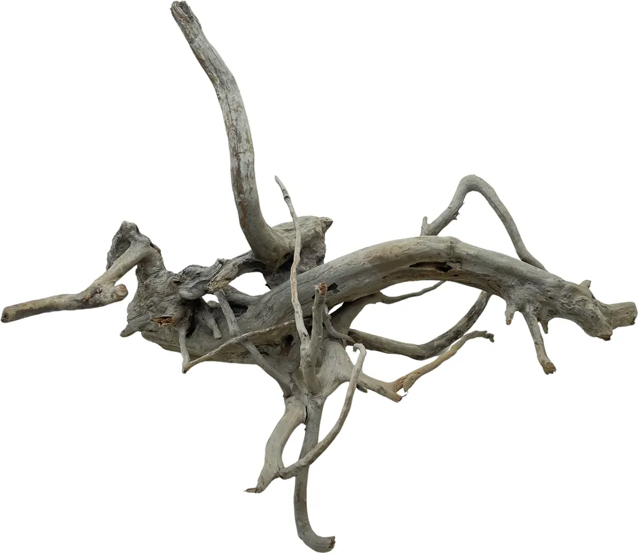 Red Moor Wood XXL 60-75cm (ID Z07838) Akční Nabídka