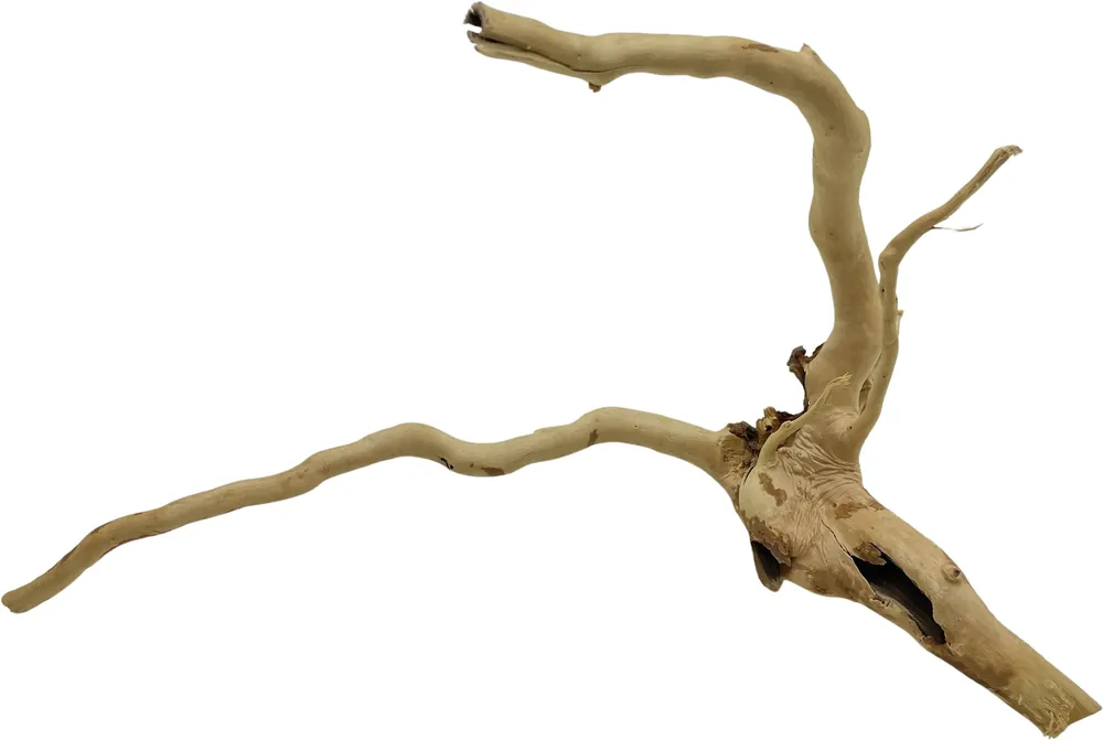 Red Moor Wood S 20-30cm (ID Z07822) Super Cena