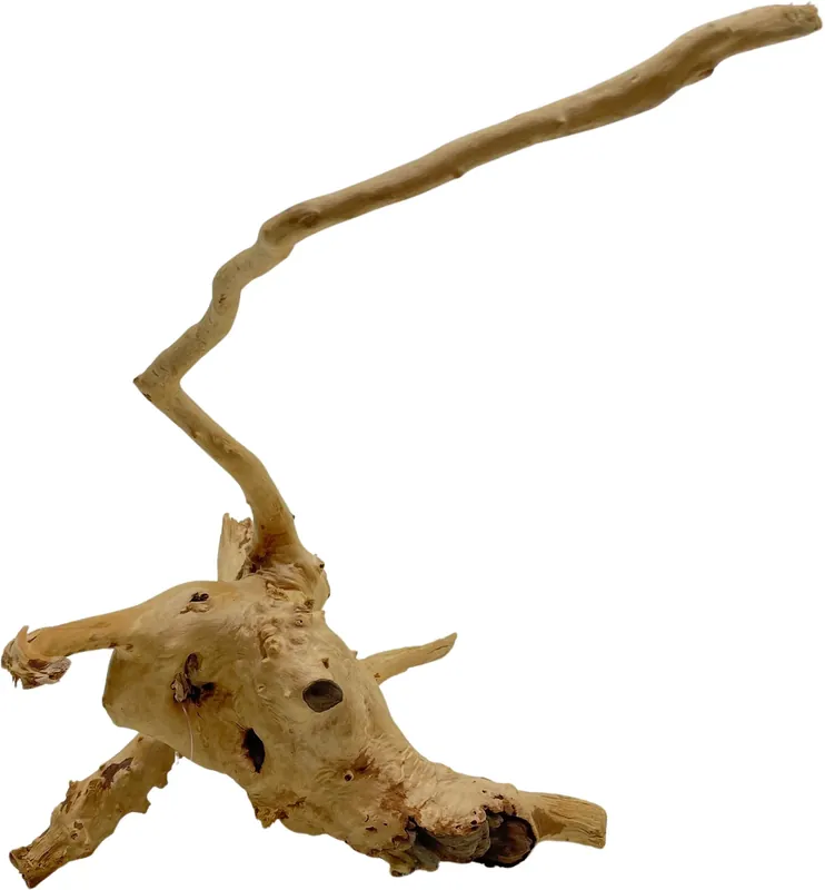 Koupit Online Red Moor Wood S 20-30cm (ID Z07817)