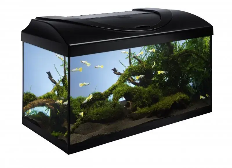Levný Diversa akvarijní set Startup 60 černý 54l LED - poškozený produkt