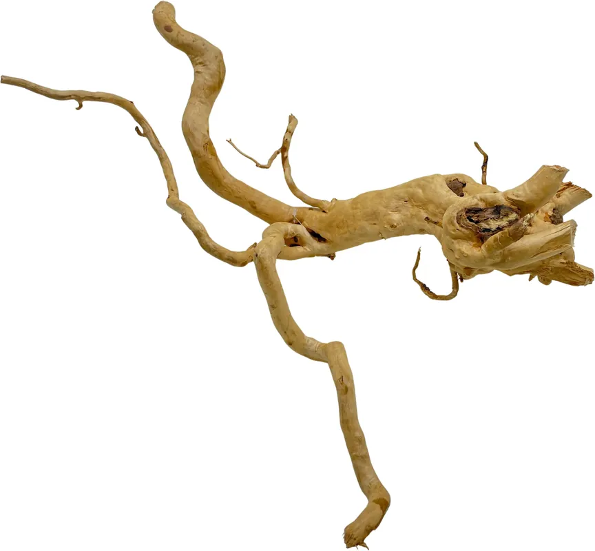 Expresní Doručení Red Moor Wood Premium L 40-50cm (ID Z08161)