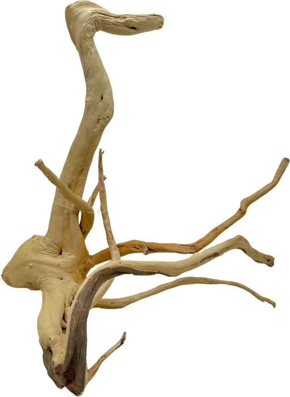 Finální Výprodej Red Moor Wood Premium M 30-40cm (ID Z08154)