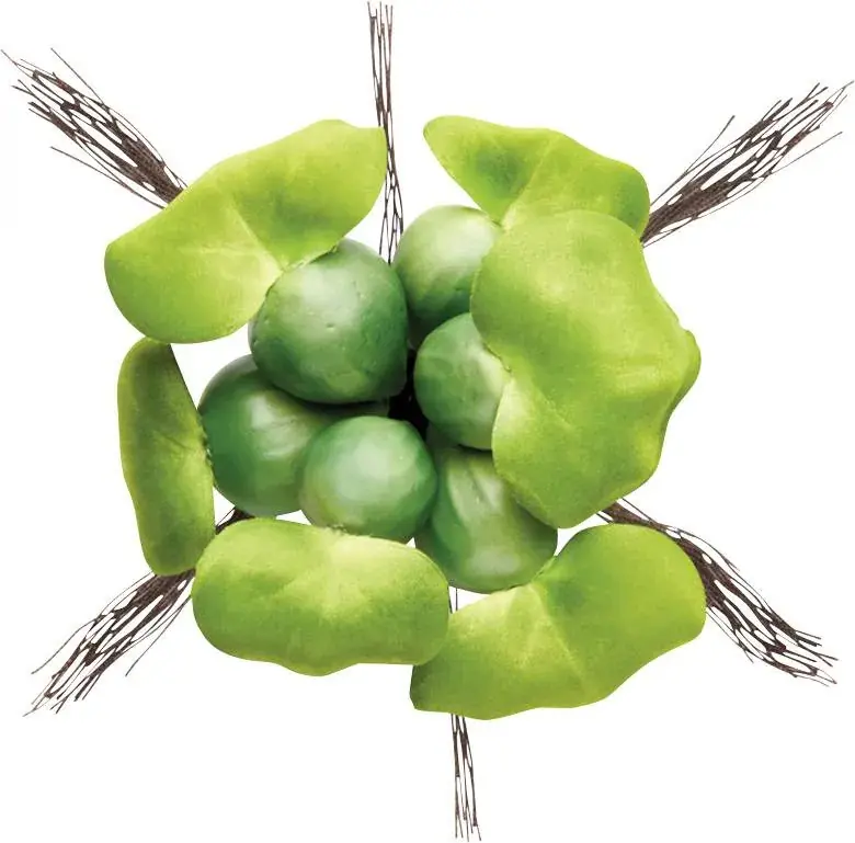 Víkendová Akce Pontec PondoHyacinth - imitace hyacintu