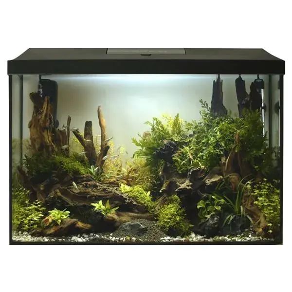 Speciální Cena AquaEl Leddy DAY&NIGHT 60 XL akvarijní set 72 l - neúplný produkt