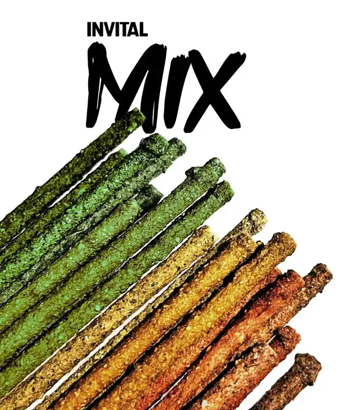 Nejlepší Cena INVITAL Shrimp Lollies Mix 2 g krmivo pro krevetky