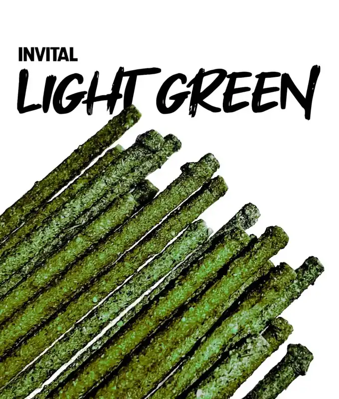 Rychlé Dodání INVITAL Shrimp Lollies Light Green 2 g krmivo pro krevetky