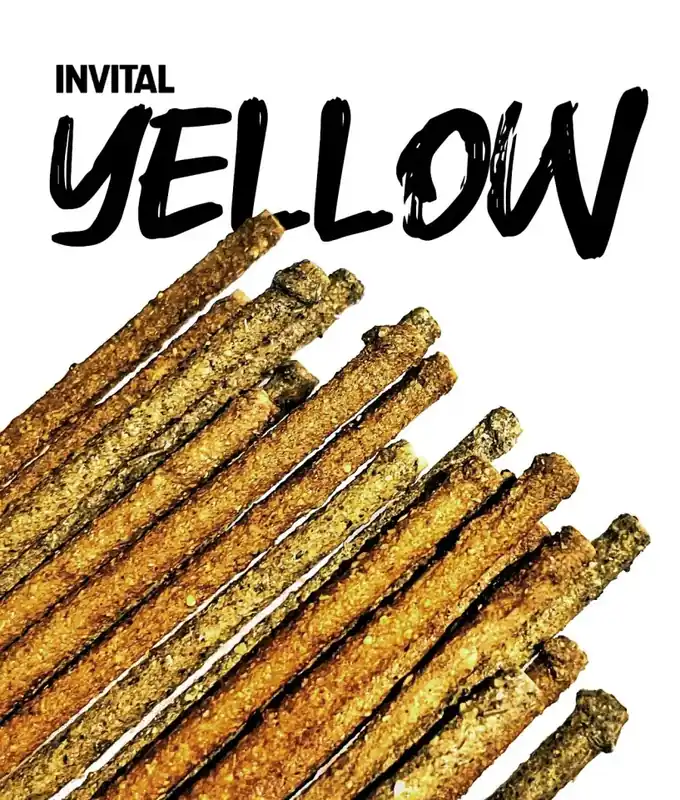 Sezónní Sleva INVITAL Shrimp Lollies Yellow 2 g krmivo pro krevetky