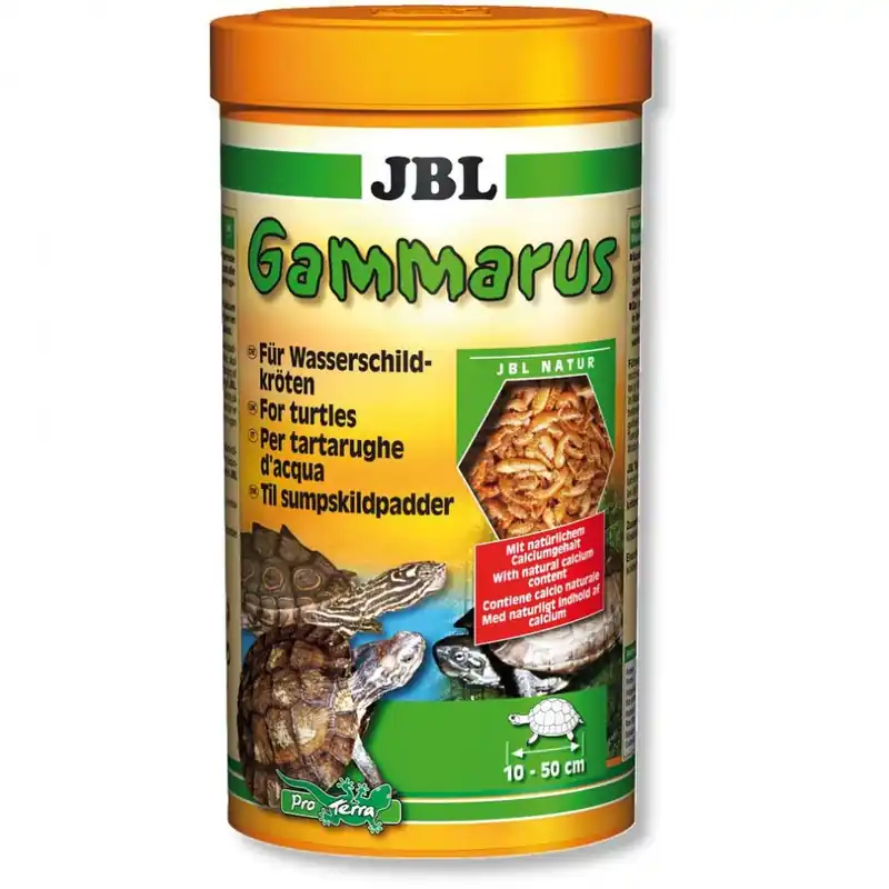JBL Gammarus 1 l Nejlepší Cena