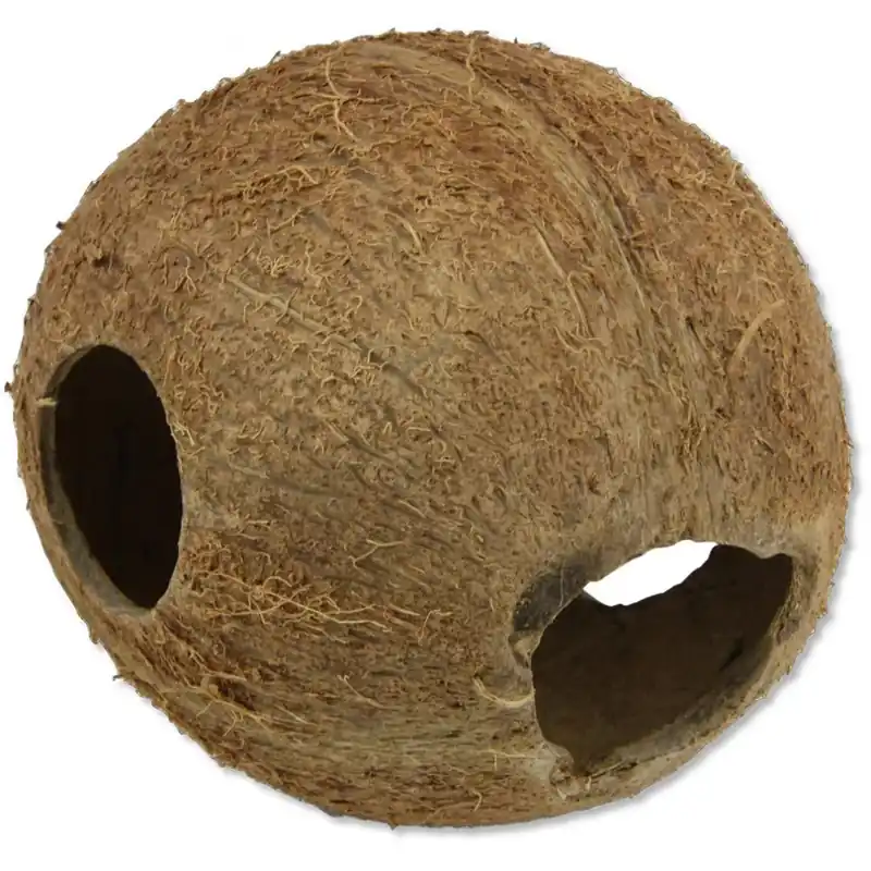 Zlevněný JBL Cocos Cava 1/1 M