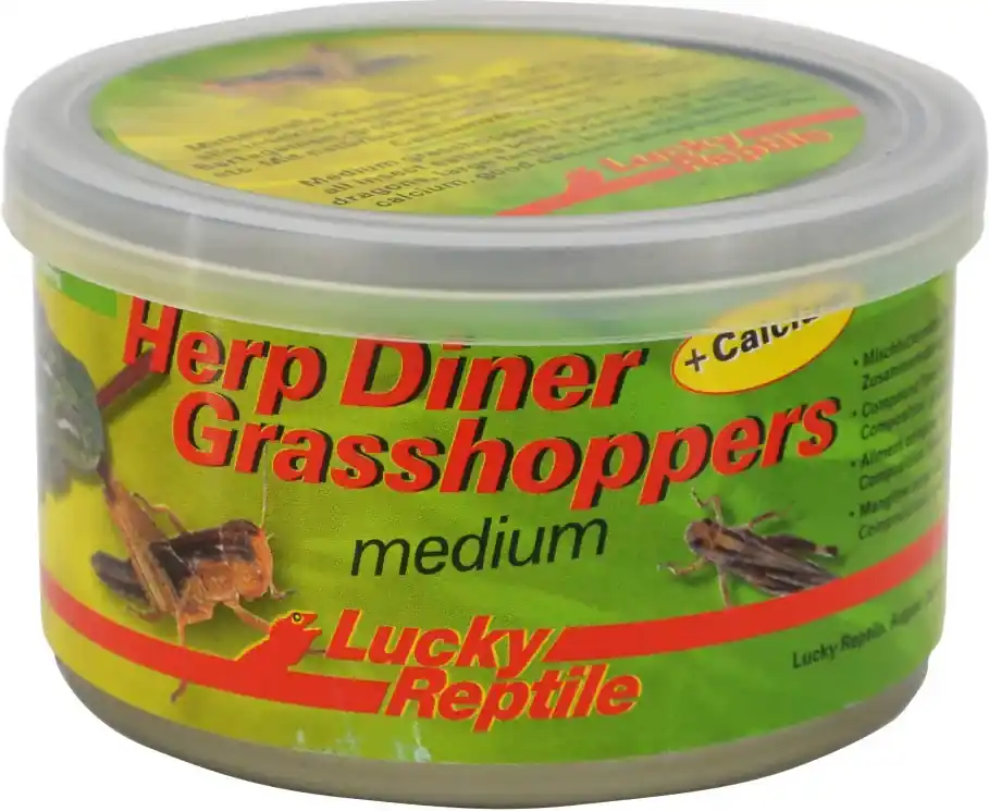 Přímo Od Výrobce Lucky Reptile Herp Diner sarančata 35 g
