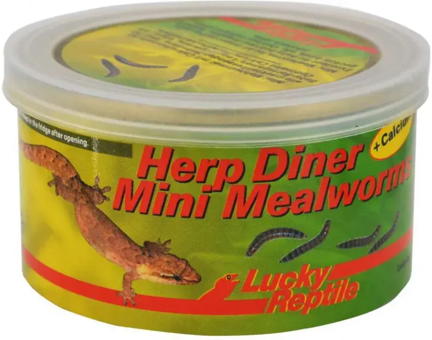 Lucky Reptile Herp Diner mouční červi Mini 35 g Objednat Nyní