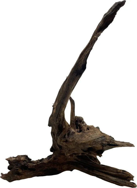 Jen Po Omezenou Doba Dark wood L (ID Z09683)