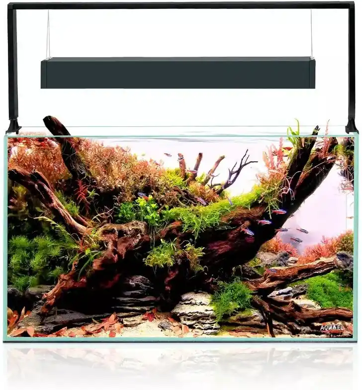 Originální AquaEl akvarijní set Ultrascape 60 Forest 64,8 l