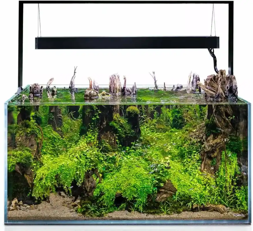 Akční Cena AquaEl akvarijní set Ultrascape 90 Forest 243 l