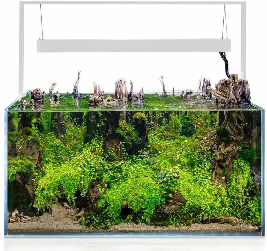 Víkendová Akce AquaEl akvarijní set Ultrascape 90 Snow 243 l