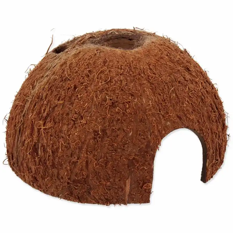Repti Planet Coco Shell úkryt L Nová Kolekce