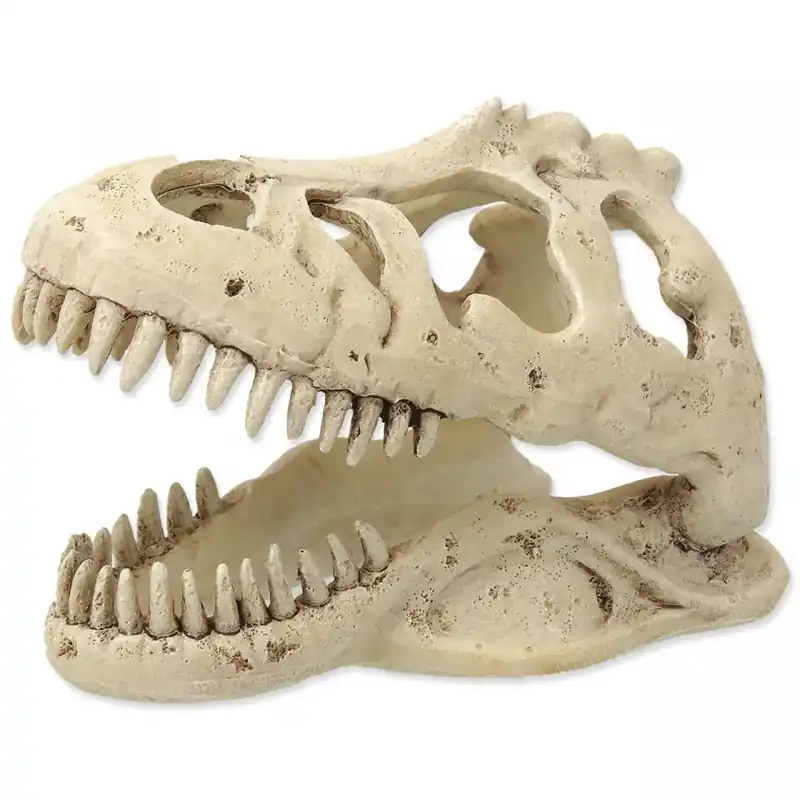 Nakupujte Hned Repti Planet dekorace T-rex lebka 13,3x8,5x9 cm