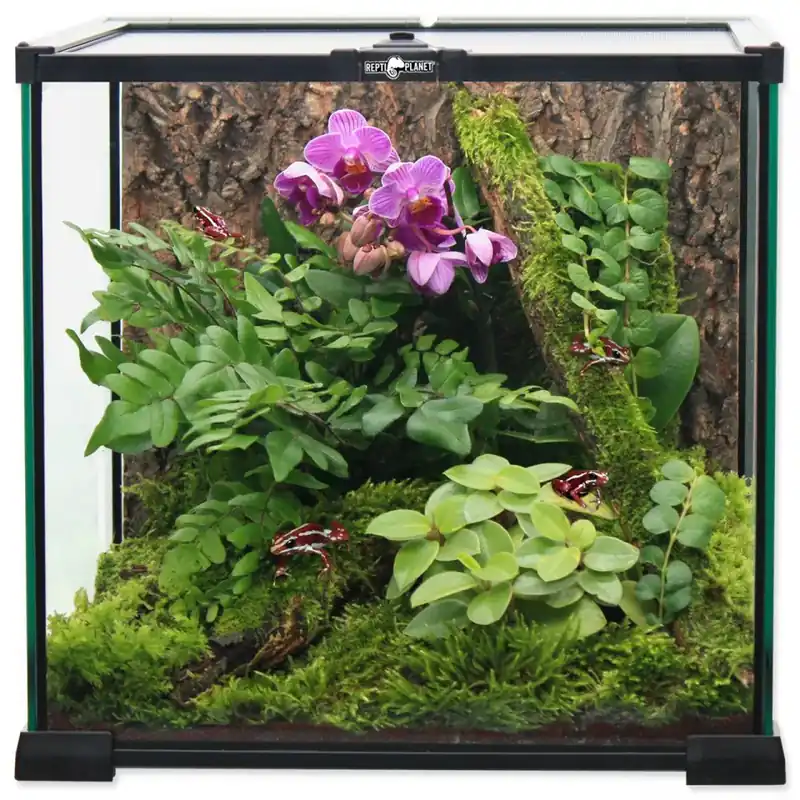 Repti Planet skleněné terárium 20x20x20 cm Oblíbený