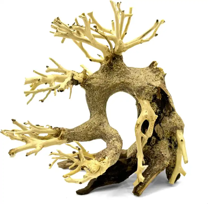 Bonsai Driftwood 15 x 10 x 14 cm No.3 Cenový Hit