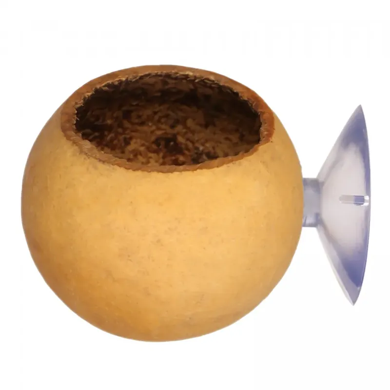 Terrario Hang Bowl Natural závěsná miska ze slupky ovoce Kup Teď