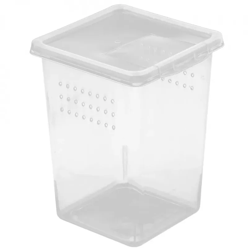 Terrario Insect Box High terárium pro hmyz 9x9x11cm Pouze Dnes