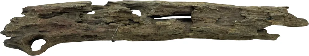 Ověřený Honey Comb Wood M 30-40 cm 360g (ID Z10454)