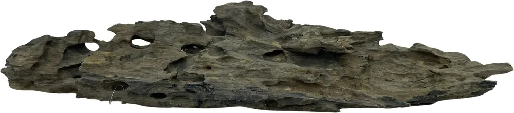 Přímo Od Výrobce Honey Comb Wood L 40-50 cm 560g (ID Z10465)