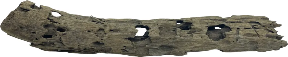 Honey Comb Wood L 40-50 cm 765g (ID Z10468) Pouze Dnes