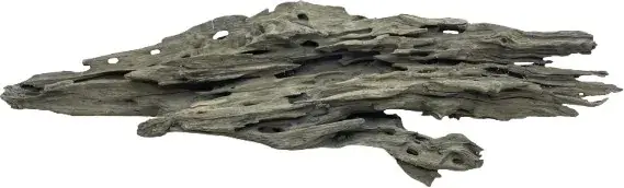 Expresní Doručení Honey Comb Wood XL 50-60 cm 1150g (ID Z10475)