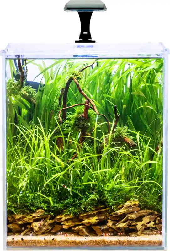 INVITAL Shrimp LED akvarijní set 30 l Nízká Cena