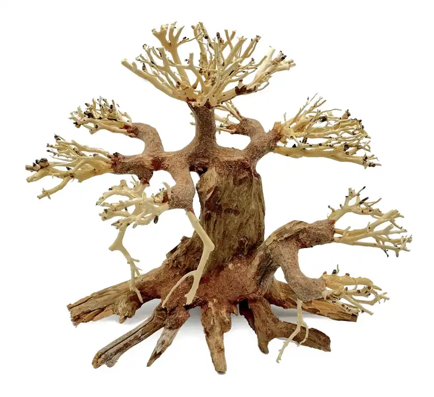 Top Prodej Bonsai Driftwood 30 x 19 x 28 cm No.100