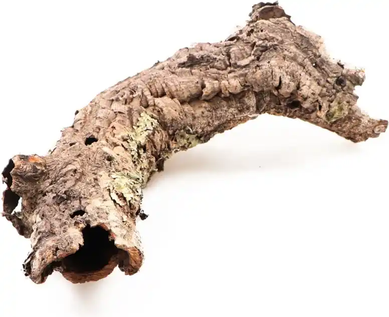Akční Cena INVITAL Kůra korkového dubu L (do Ø12 cm)