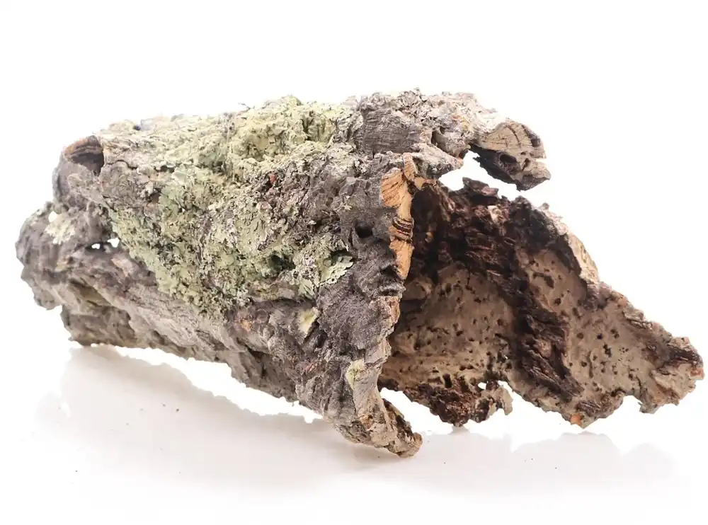 INVITAL Kůra korkového dubu S (nad Ø12 cm) Cenová Bomba
